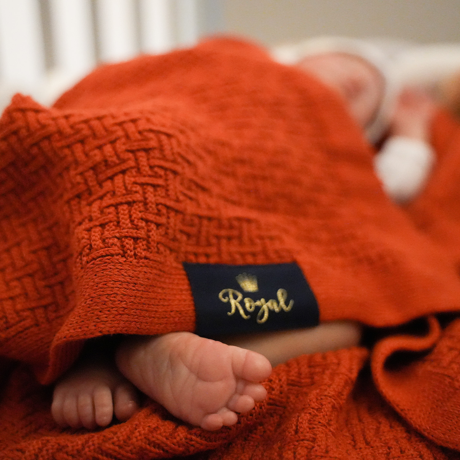 Bamboe katoen deken voor baby, herfst/lente, ceglasty, delikatny, Pony